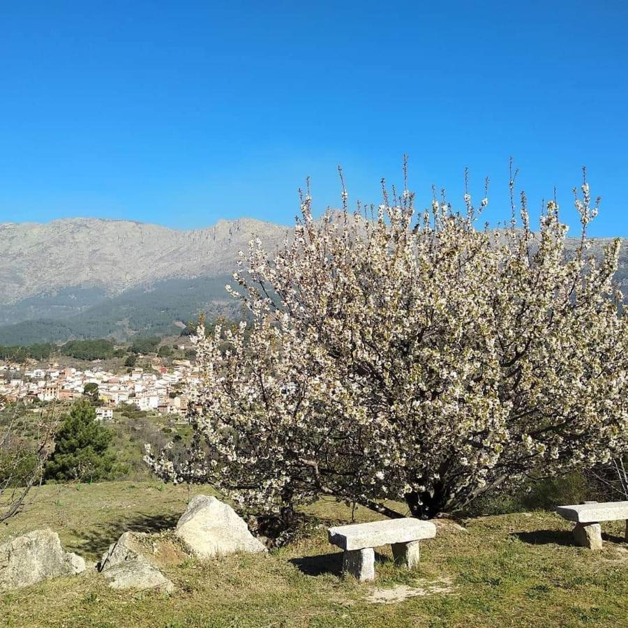 Hotel Rural Los Molinillos El Arenal  Zewnętrze zdjęcie